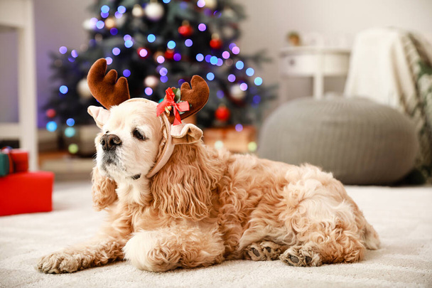 Roztomilý pes s jelení rohy v pokoji zdobené na Vánoce - Fotografie, Obrázek