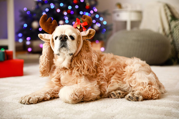 クリスマスのために飾られた部屋に鹿の角とかわいい犬 - 写真・画像