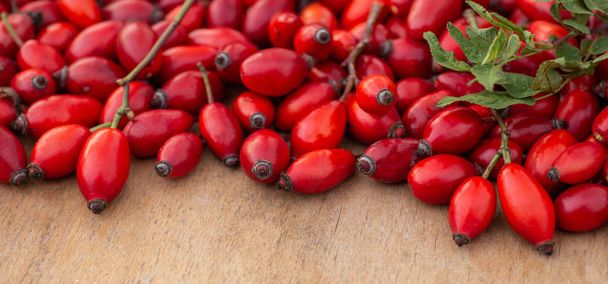 Freshly picked rose hips on the wooden table. Rose hip commonly known as rose hip (Rosa canina) - Photo, Image