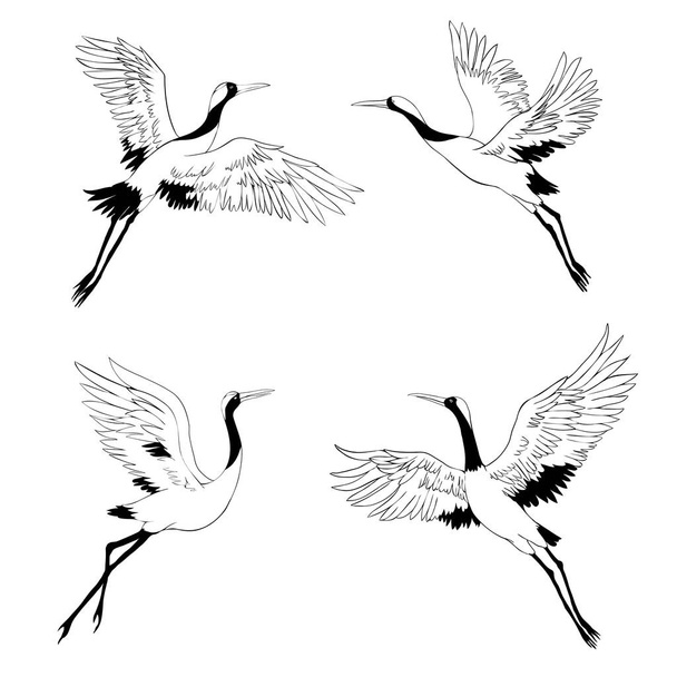 Sziluett vagy árnyék fekete tinta ikonok daru madarak vagy gémek repülő és álló készlet. Csoport gólyák vázlat sablon vagy kreatív háttér vektor illusztráció elszigetelt fehér. - Vektor, kép
