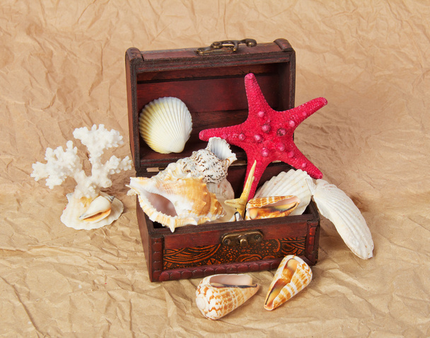 Sea shells, cockleshells, starfishes in a chest on old paper - Valokuva, kuva