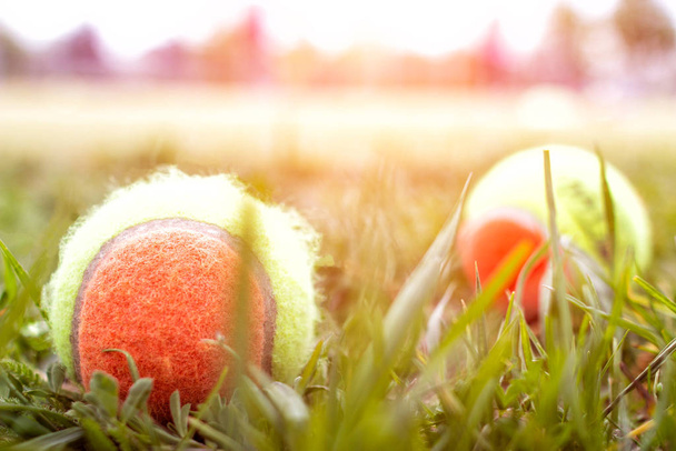 A lot of tennis balls on the tennis court on the grass, background, sport, multi-colored - Фото, зображення