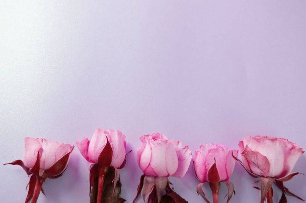 Jemné šeříkové pozadí s růžovými růžemi ležícími na spodním okraji šablony rozložení. Krásná prázdná karta na pozvání, pozdravy s kopií. Pohled shora, plochý ležel - Fotografie, Obrázek