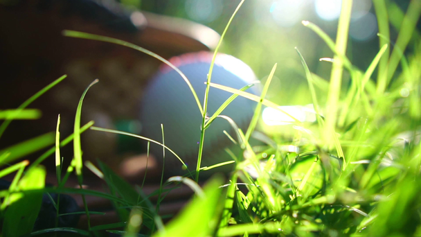 Baseball, baseballové rukavice, odpočívající na trávníku s teplým světlem zapadajícího slunce - Záběry, video
