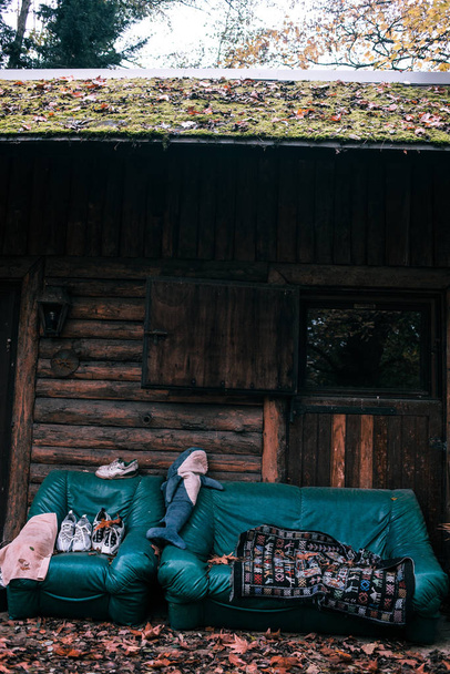 Wooden hut in the woods with coach and armchair  - Photo, Image