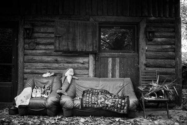 Cabane en bois dans les bois avec coach et fauteuil
 - Photo, image