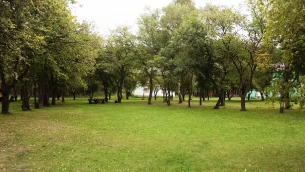 Green lawn in the city park and green foliage swaying slowly in the wind on a sunny summer day. Stock footage. Bright fresh meadow, growing trees, and old wooden bench. - Footage, Video