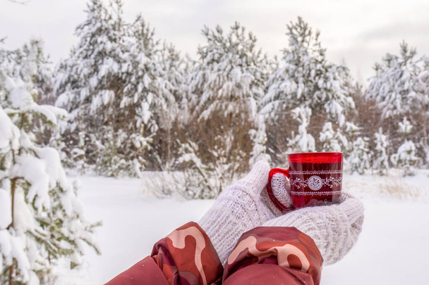 Female hands in white knitted mittens with tea or coffee cup against winter landscape with snow covered forest in cloudy day. Cozy mood, weekend trip to countryside, winter holidays at nature concept - Photo, Image