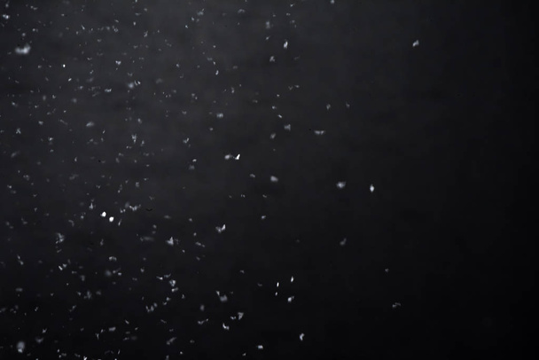 Nevica di notte. Luci Bokeh su sfondo nero, che volano fiocchi di neve in aria. Sovrapposizione di texture. Tempesta di neve
 - Foto, immagini