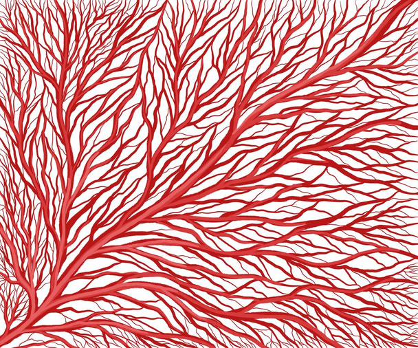 Felç, damar kılcal ağının dallanması - Fotoğraf, Görsel