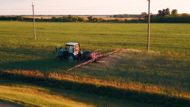 Farm tractor spraying plants in the field. Russia Pskov region. Sun rays on horizon. - Кадри, відео