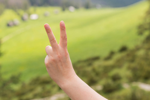 Muestra la señal de victoria. Mano con dos dedos en el símbolo de la paz. Aire libre, concepto de estilo de vida, Copyspace
 - Foto, imagen