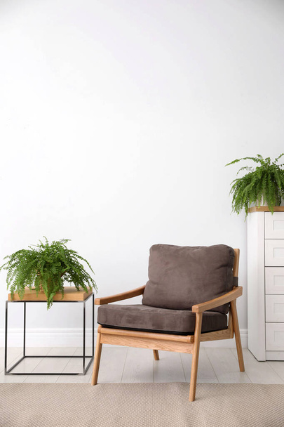 Beautiful home plants in stylish room interior - Foto, Bild