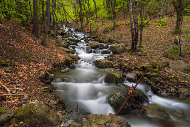 Flusso che scorre sul pendio della montagna, Bulgaria
 - Foto, immagini
