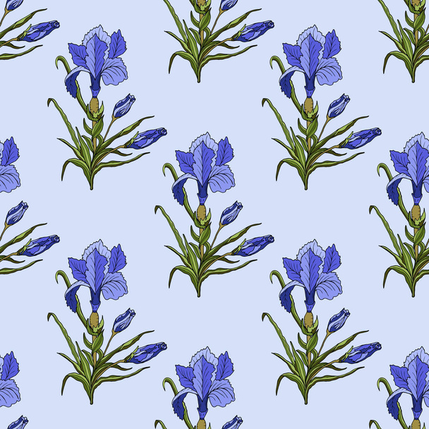 Seamless background with violet Irises and leaves on light blue. - Vektör, Görsel