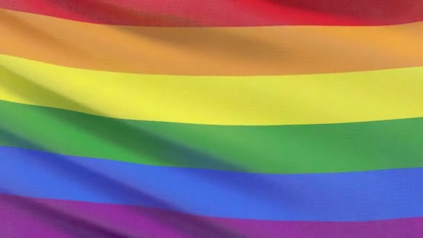 Drapeau LGBT arc-en-ciel lumineux très détaillé et agité
. - Séquence, vidéo
