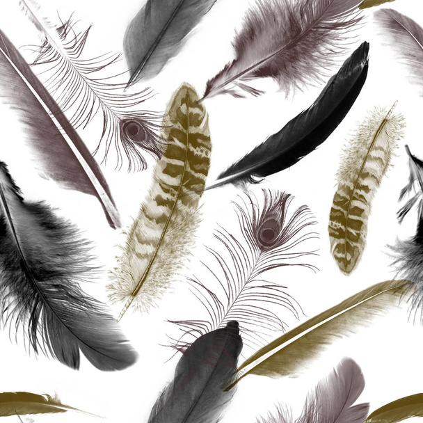 Feathers pattern.Seamless repeating animal texture. Natural background.Birds feather. - illustration - Photo, Image