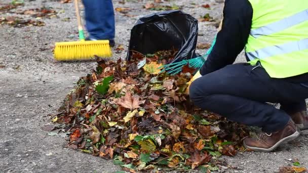 Homem recolhe folhas no episódio de outono 4
 - Filmagem, Vídeo