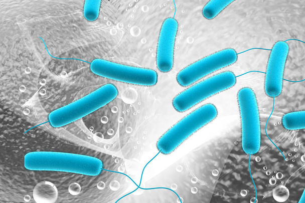 bakterie coli - Zdjęcie, obraz
