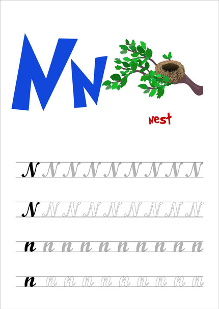 Diseña el diseño de la página del alfabeto inglés para enseñar a escribir letras mayúsculas y minúsculas N con un divertido Nido de dibujos animados. Estilo plano. Ilustración vectorial
 - Vector, imagen