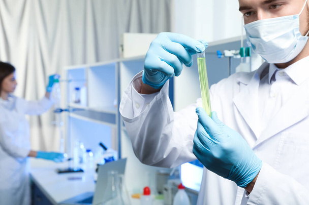 Scientist holding test tube with liquid indoors, closeup. Laboratory analysis - Фото, изображение