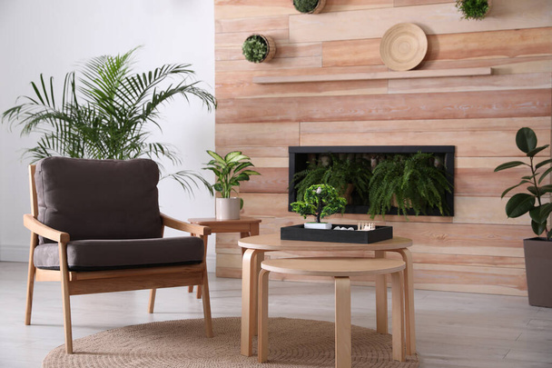 Stylish living room interior with green plants. Home design idea - Foto, Imagem