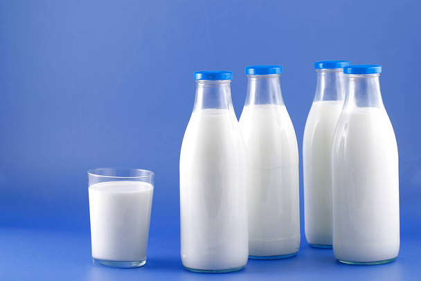 Bottle of milk, cow. - Photo, Image