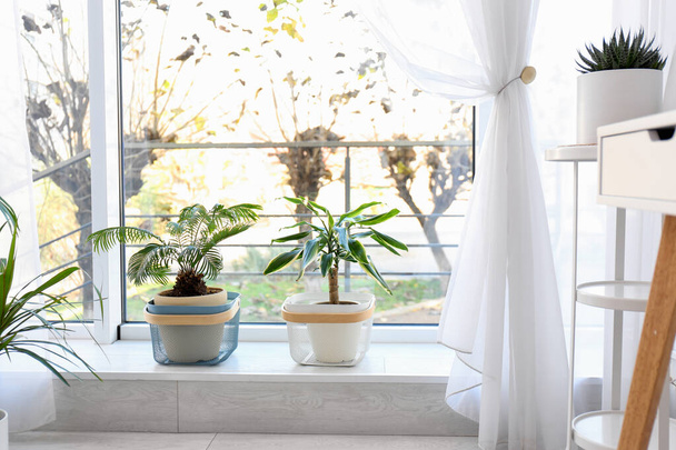 Стильный интерьер комнаты с красивыми растениями. Главная идея дизайна
 - Фото, изображение