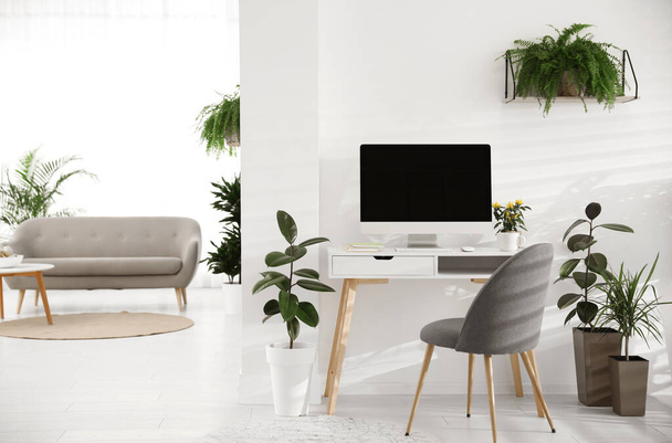 Modern workplace in room decorated with green potted plants. Home design - Φωτογραφία, εικόνα