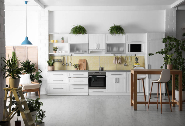 Stylish kitchen interior with green plants. Home decoration - Zdjęcie, obraz