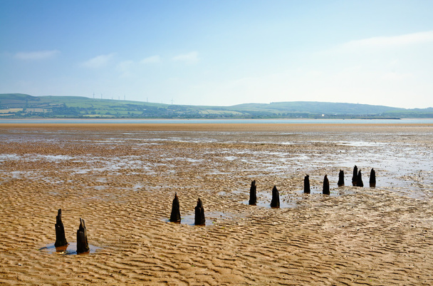 Parallel wooden posts in Morecambe Bay - Photo, Image
