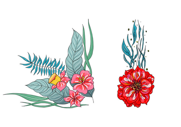 Set of two summer colorful tropical flowers. Floral botanical flower set isolated on white background. Hand drawn vector collection. Botanical Hawaii nature. Tropical palm icon. Hawaiian illustration - Vector, afbeelding
