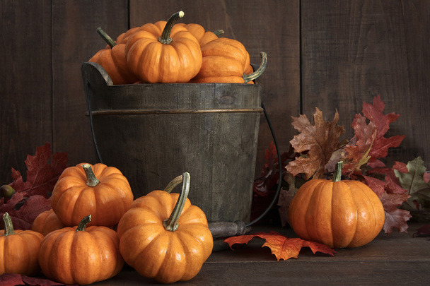 Tiny pumpkins in wooden bucket on table - Photo, Image