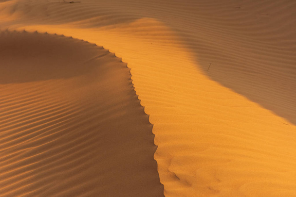 Zachód słońca na pustyni przez teksturowany i wzorzysty grzbiet tworząc spektakularne kształty. Zjednoczone Emiraty Arabskie. Koncepcja pustyni. - Zdjęcie, obraz