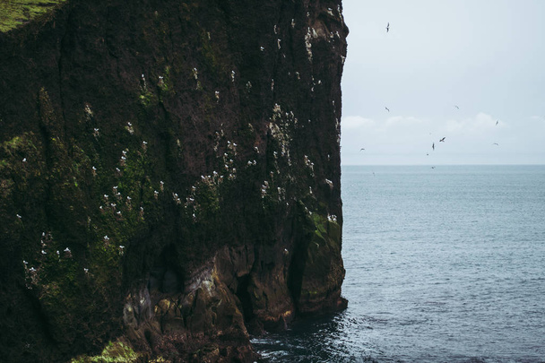 Rocky cliffs in Iceland on the coastline of Atlantic Ocean. Gulls flying over the water - Photo, image
