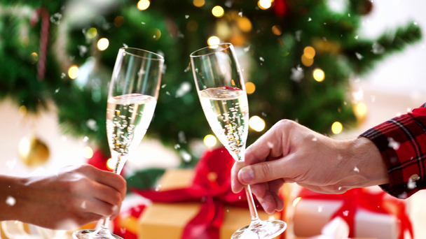 kilku sakiewkach brzęczały szklanki szampana na Boże Narodzenie - Materiał filmowy, wideo