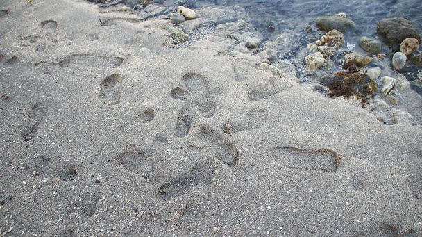 die Felsen am Strand Sand sind am Morgen grau, mit weniger Licht, unscharf, geeignet für den Hintergrund - Foto, Bild