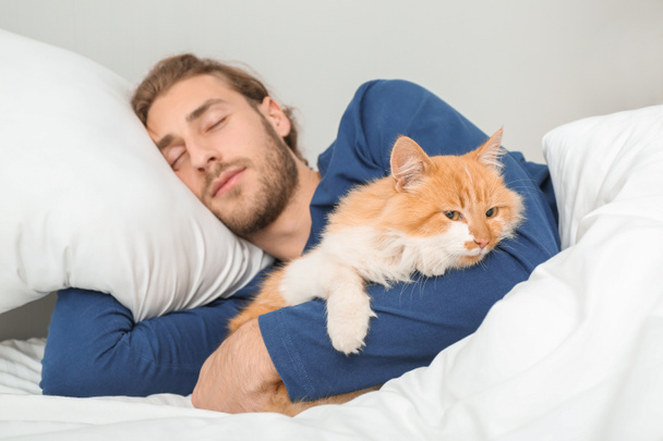 朝の若いです男とともに可愛いです猫睡眠でベッド - 写真・画像