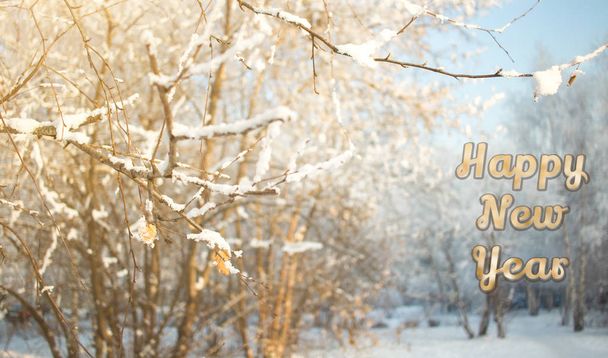 Yeni yılın kutlu olsun. Mevsimlik manzara tebrik kartı. Güneşli bir arka plan, karla kaplı dallar. Kavram. - Fotoğraf, Görsel