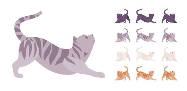 Λευκό, μαύρο, πορτοκαλί, γκρι ριγέ σετ τέντωμα γάτας - Διάνυσμα, εικόνα