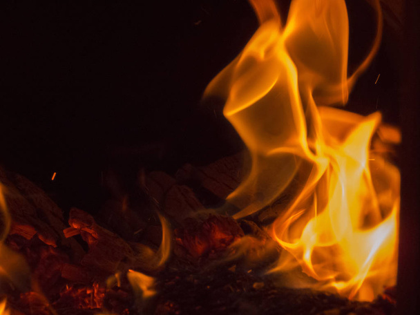 Dance of orange flames on charred logs. - 写真・画像
