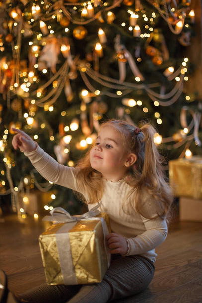 Cute little girl  with big Christmas gift - Fotografie, Obrázek