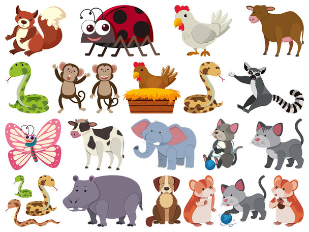 Set of isolated objects theme farm animals - Vector, Image