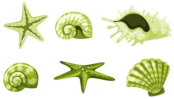 Set of isolated seashells in green color - Vector, Image