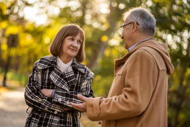 Senior couple is talking in park in autumn. - Фото, зображення