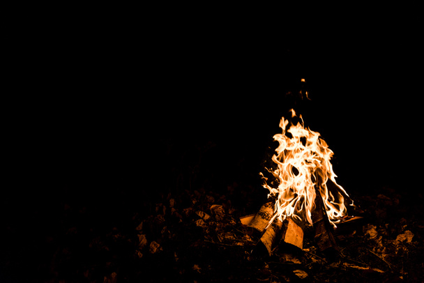 flame and logs in camp fire in darkness in the night  - Photo, Image