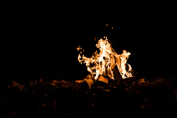 troncos ardiendo en el fuego del campamento en la oscuridad
  - Foto, Imagen
