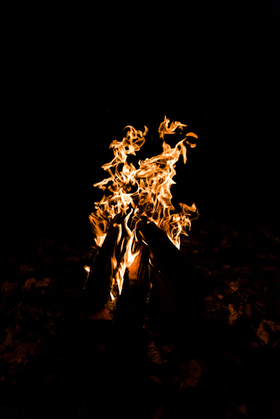 llama en el fuego del campamento en la oscuridad en la noche
  - Foto, imagen