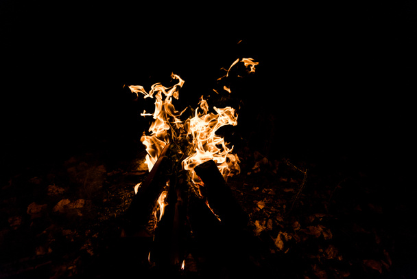 logs burning in camp fire in darkness  - Photo, Image
