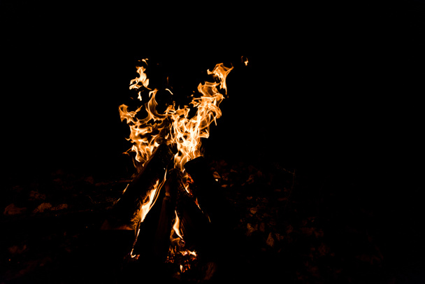 logs burning in camp fire in the night  - Photo, Image